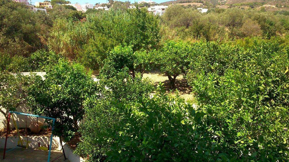 Kalathos Sun Hotel Kültér fotó